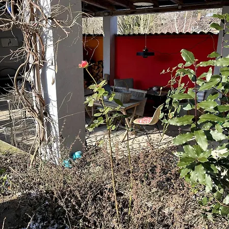Idyllisches Mit Gartenzugang Apartment *
